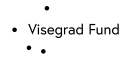 International Visegrad Fund
