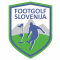 Footgolf Zveza Slovenije